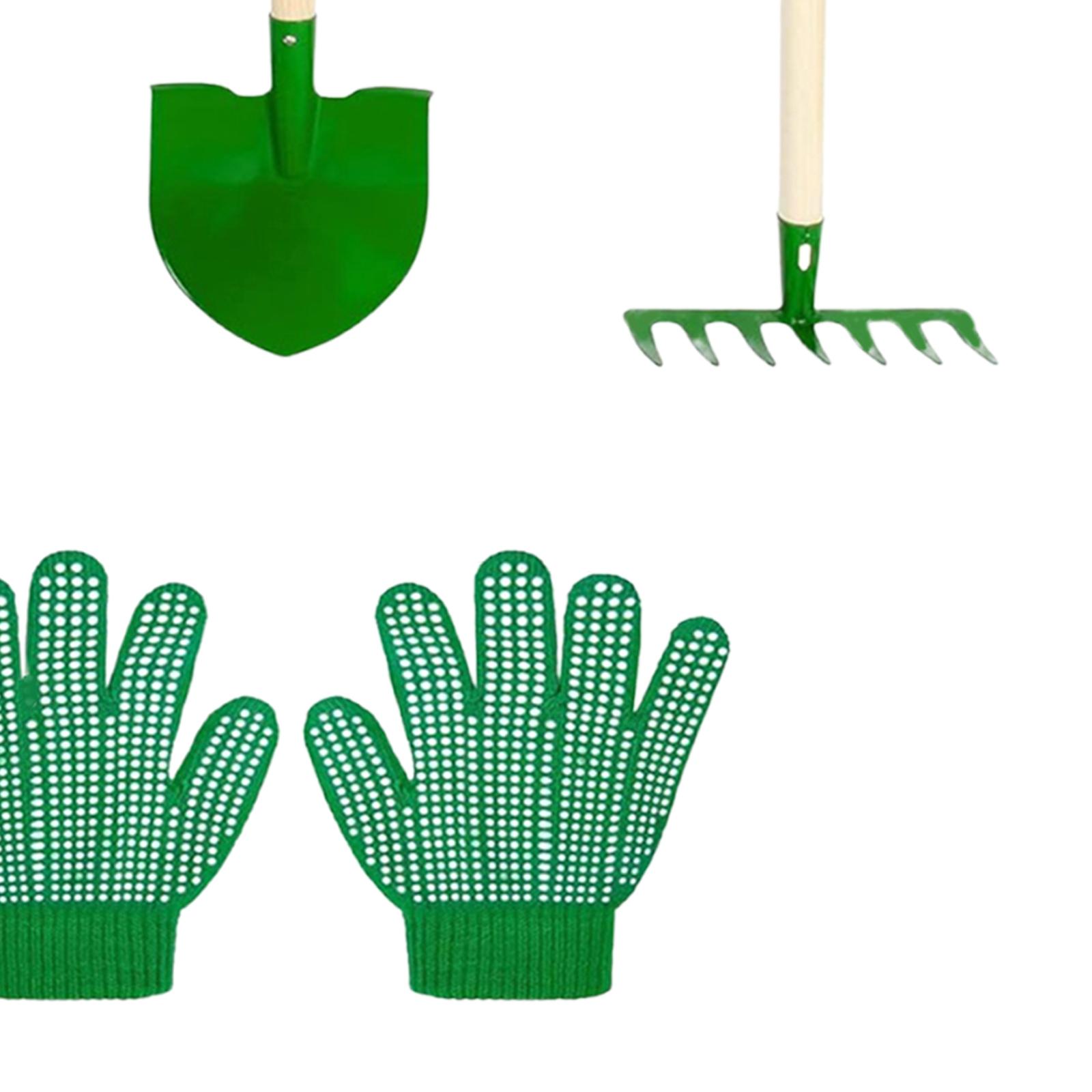 ชุดเครื่องมือทำสวนสำหรับเด็กพร - Kids Outdoor Learning Activities บทวิจารณ์และราคา